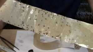 Pasti pro komáry, jak si vybrat nebo udělat sami